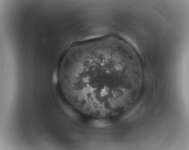 X0000115480069200911131224