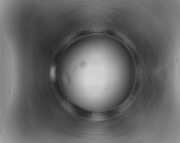 X0000115480070200911131224