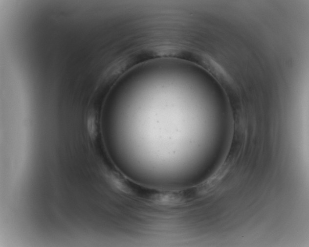 X0000115480074200911131224