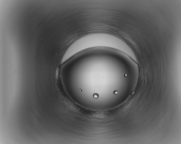 X0000115480076200911131224