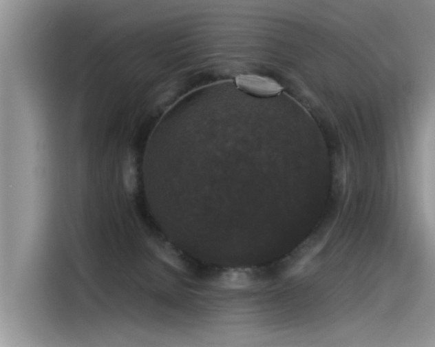 X0000115480080200911131224