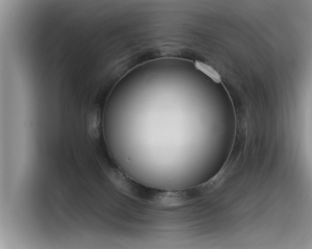 X0000115480082200911131224