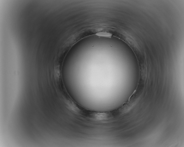 X0000115480085200911131224