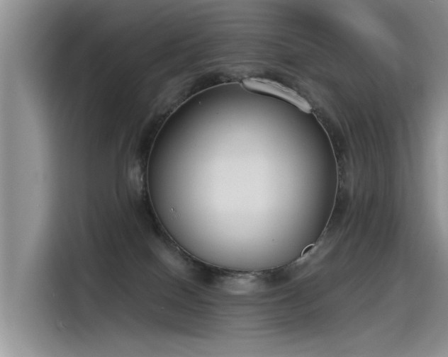 X0000115480086200911131224