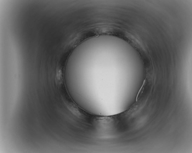 X0000115480087200911131224