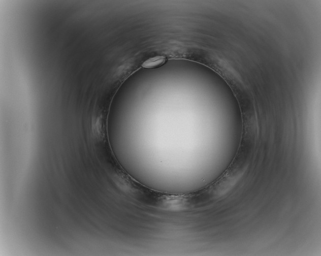 X0000115480088200911131224