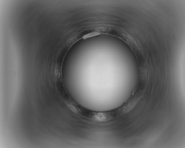 X0000115480091200911131224