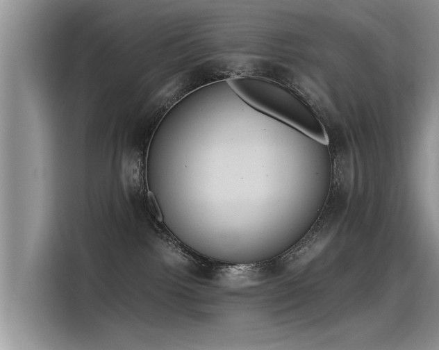 X0000115480092200911131224