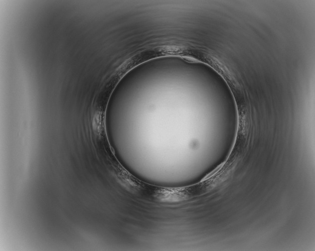 X0000115480093200911131224