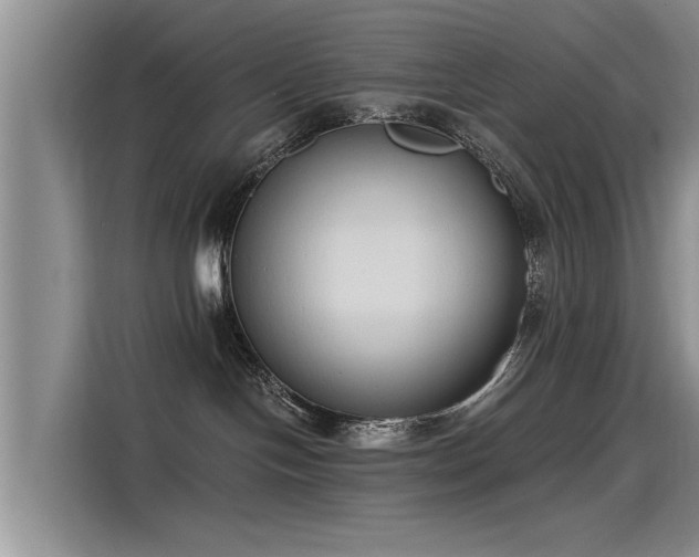 X0000115480094200911131224