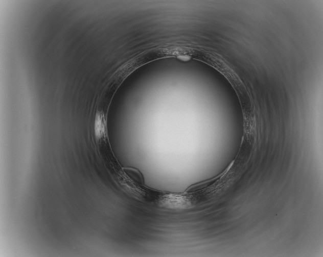 X0000115480095200911131224