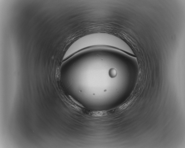 X0000115480096200911131224