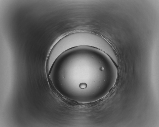 X0000115480100200911131223