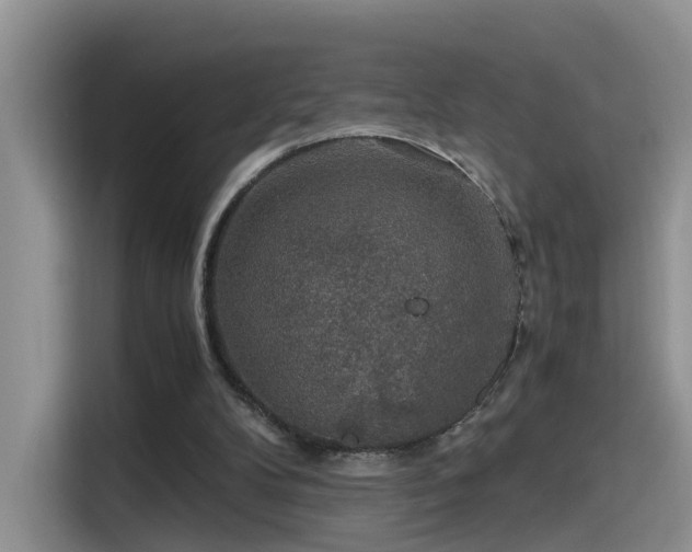 X0000115480104200911131223