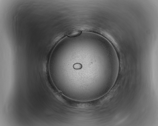 X0000115480105200911131223