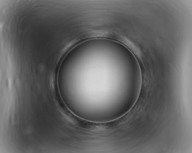 X0000115480107200911131223