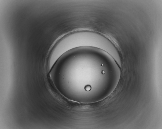 X0000115480108200911131223