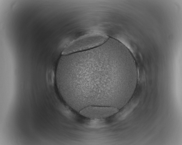 X0000115480109200911131223