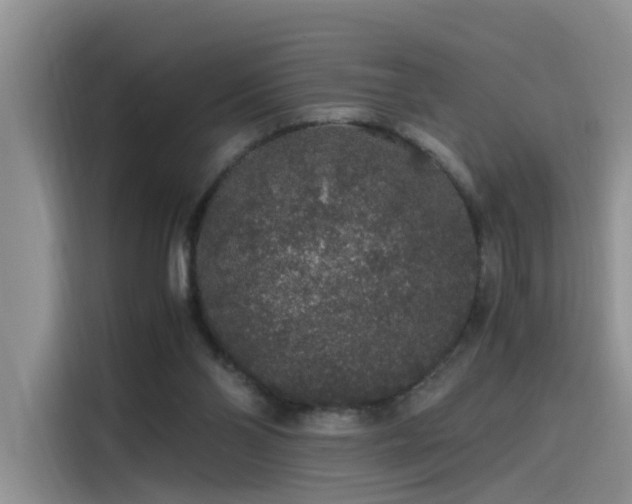 X0000115480110200911131223