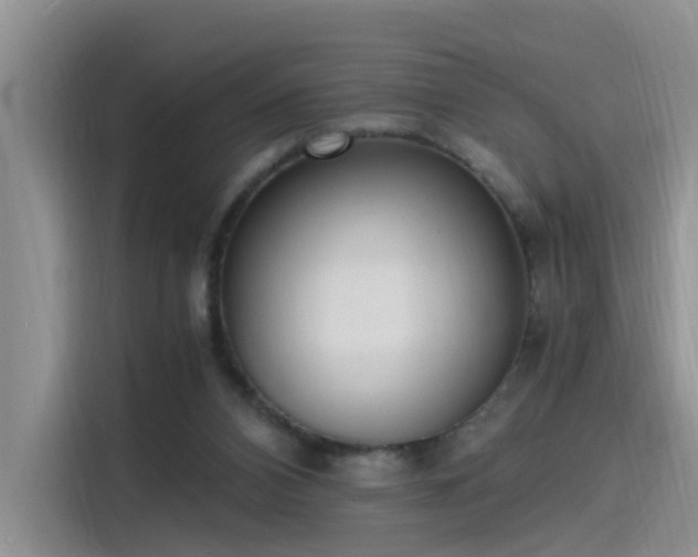 X0000115480112200911131223