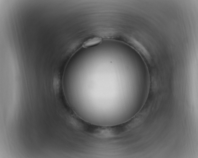 X0000115480113200911131223