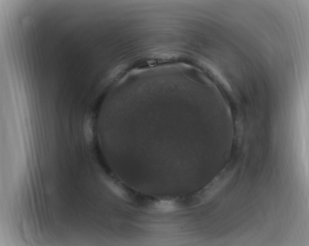 X0000115480114200911131223