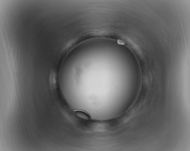 X0000115480115200911131223