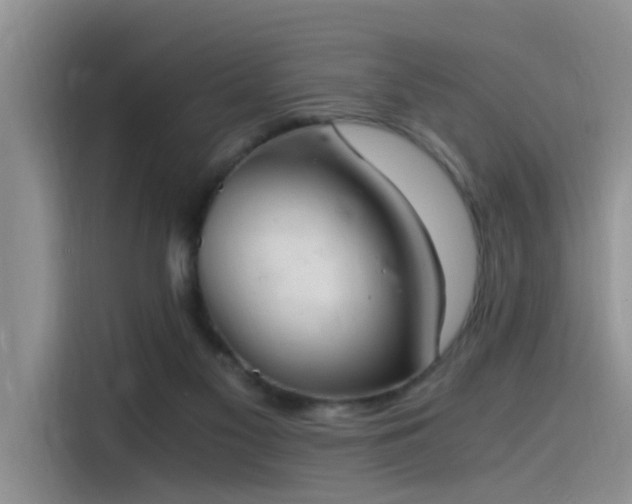 X0000115480117200911131223