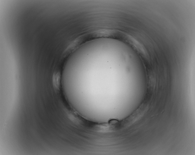 X0000115480118200911131223