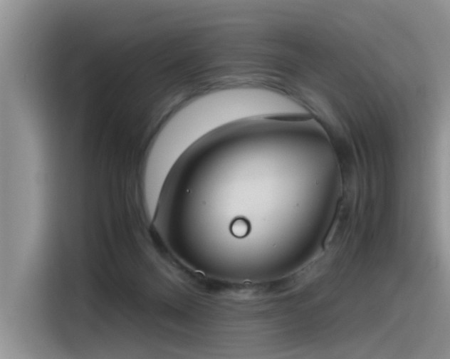 X0000115480120200911131223