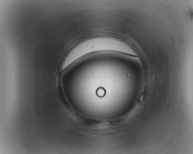 X0000115480124200911131223