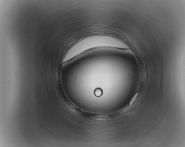 X0000115480128200911131223