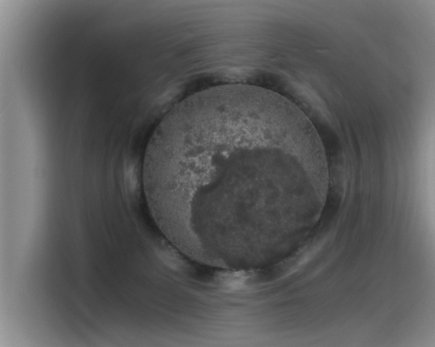 X0000115480131200911131223