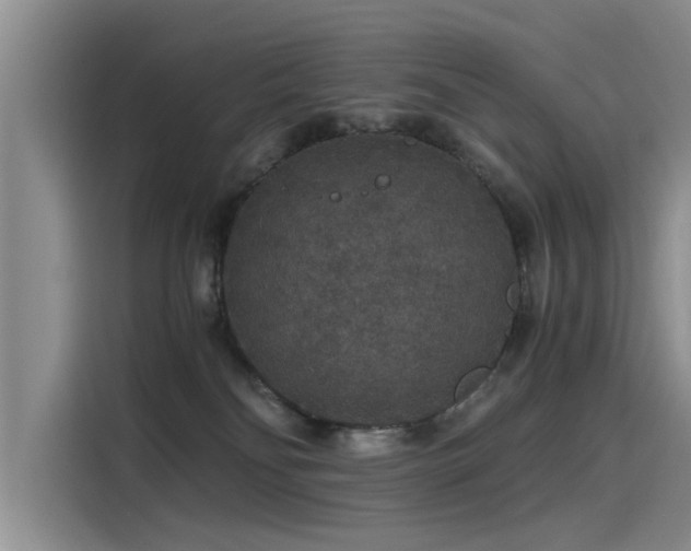 X0000115480134200911131223