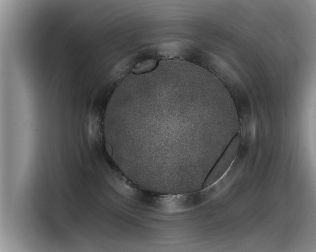 X0000115480136200911131223