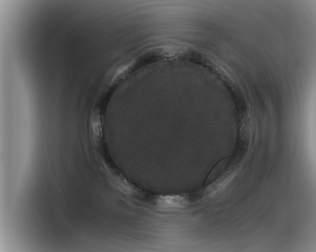 X0000115480137200911131223