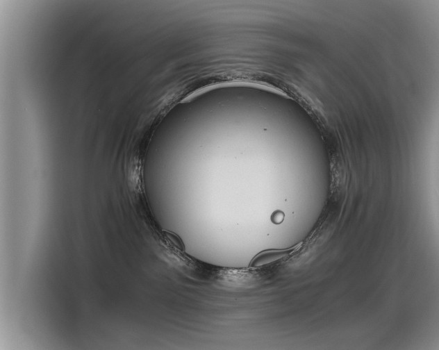 X0000115480141200911131223