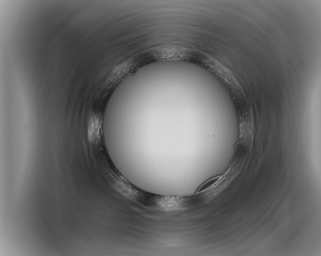 X0000115480142200911131223