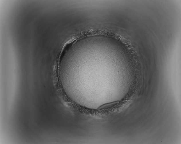 X0000115480144200911131223