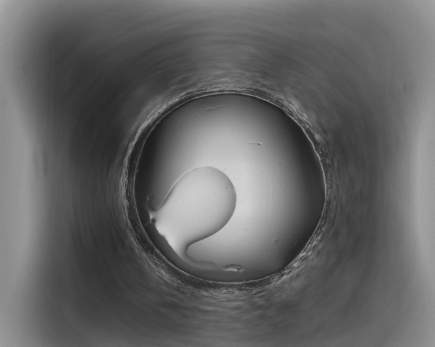 X0000115480146200911131222