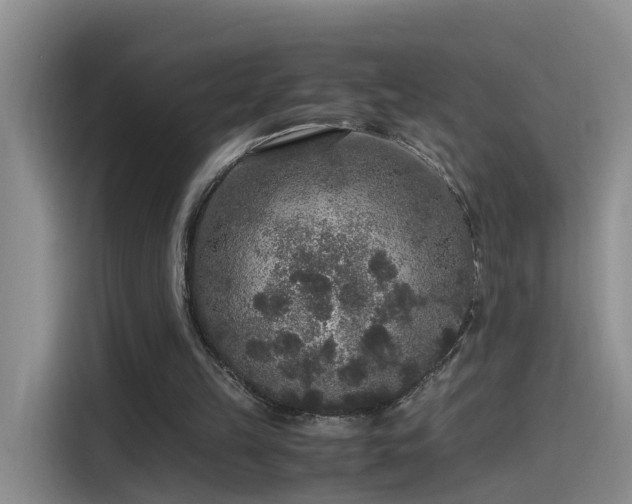 X0000115480149200911131222