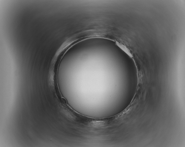 X0000115480150200911131222