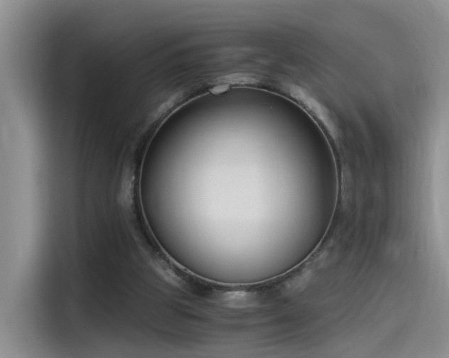 X0000115480153200911131222