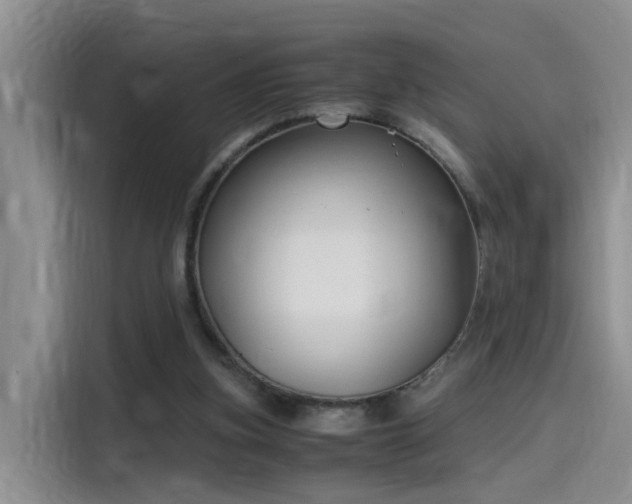 X0000115480155200911131222