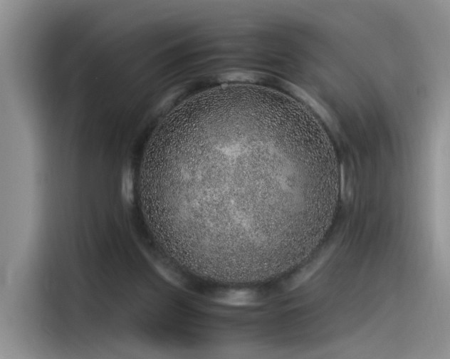 X0000115480157200911131222