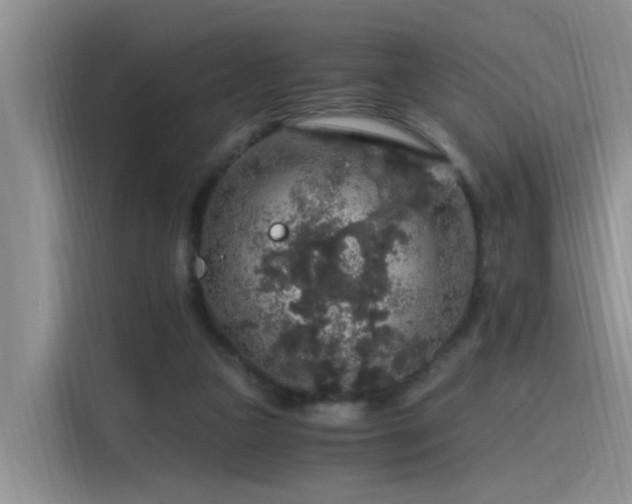 X0000115480161200911131222