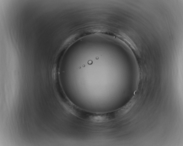 X0000115480163200911131222