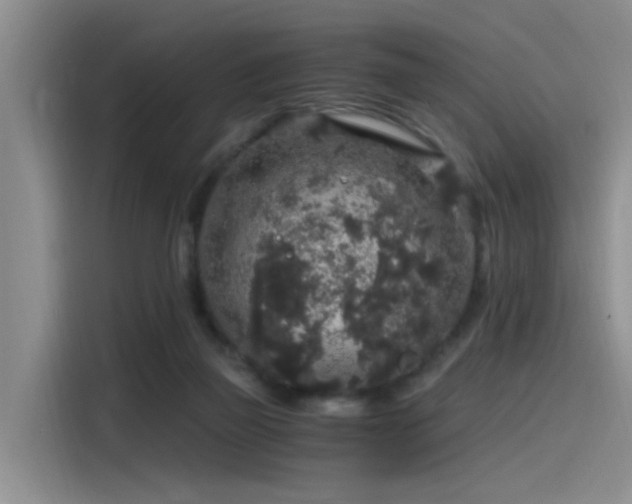 X0000115480165200911131222