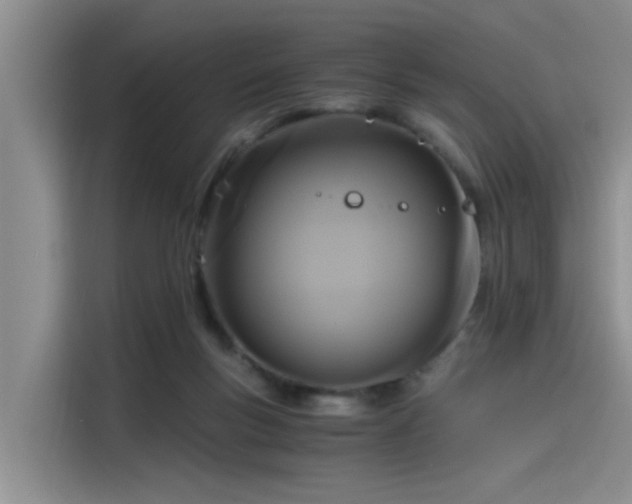 X0000115480167200911131222