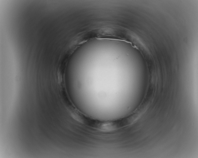 X0000115480173200911131223